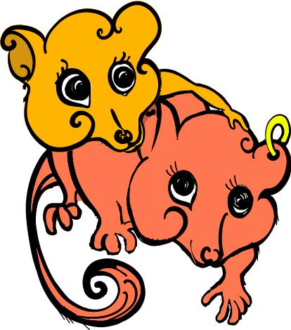 Cute Possum illustration